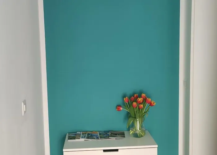 Bell Orizzonte ロカルノ