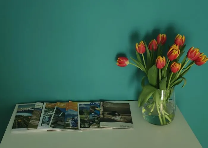 Bell Orizzonte ゲストハウス 3*